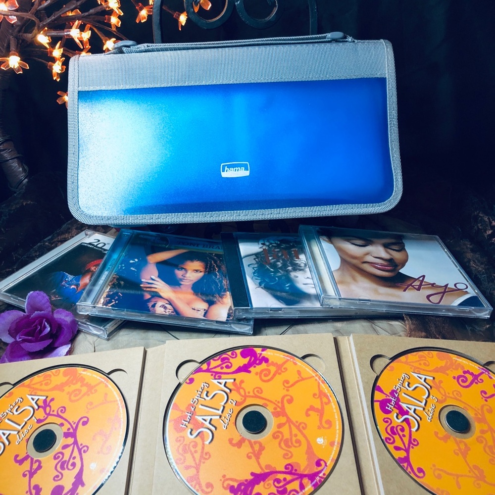 Blue and Gray CD Case / Wallet